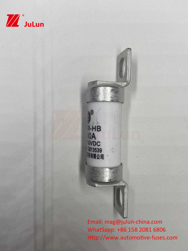 63A RS308 HB ফিউজ বোল্টযুক্ত মাউন্ট 80A 10A 15A 40A বোল্ট মাউন্ট সহ অটোমোটিভ সিরামিক ফিউজ