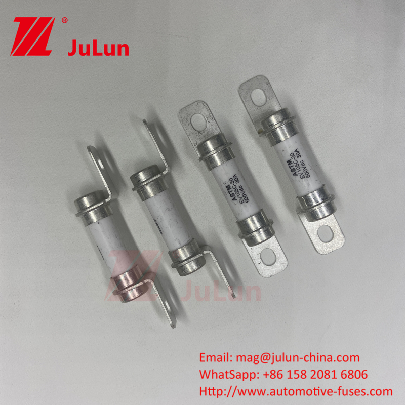50A 40A 30A বিশুদ্ধ বৈদ্যুতিক যানবাহন ফিউজ বোল্টযুক্ত এম 6 সহ বৈদ্যুতিক যানবাহন পাওয়ার রূপান্তর সিস্টেম