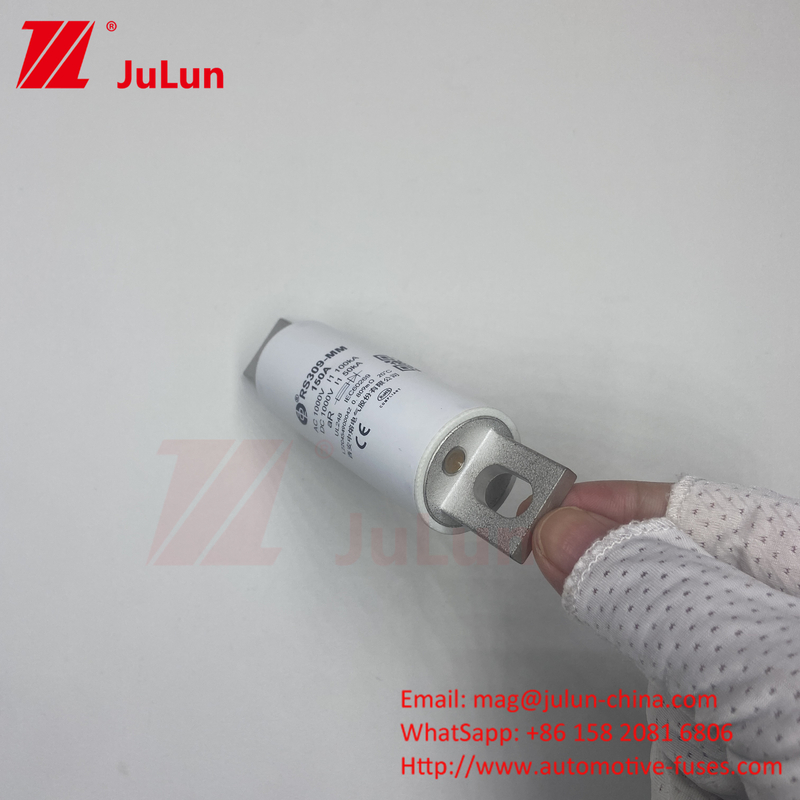 RS309-MM-EV63A গোলাকার টিউব বোল্ট-অন ফিউজ 1000VDC 50KA EV FUSE 1000VDC এর জন্য