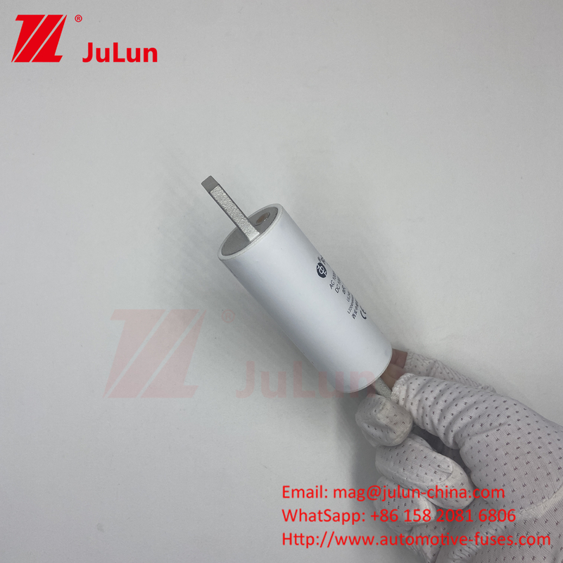 RS309-MM-EV200A বৈদ্যুতিক যানবাহনের জন্য কাস্টমাইজযোগ্য ইভি বোল্ট স্ক্রু ফিউজ 1000VDC 1000VAC