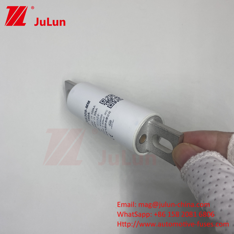 RS309-MM-EV250A 100KA মাঝারি ভোল্টেজ বৈদ্যুতিক যানবাহন দ্রুত চার্জিং / Ev Dc দ্রুত চার্জার