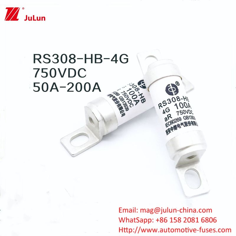 ইভি চার্জার অ্যাডাপ্টার RS308-HB4G সিরিজ 32A 63A 100A মিনি ফিউজ