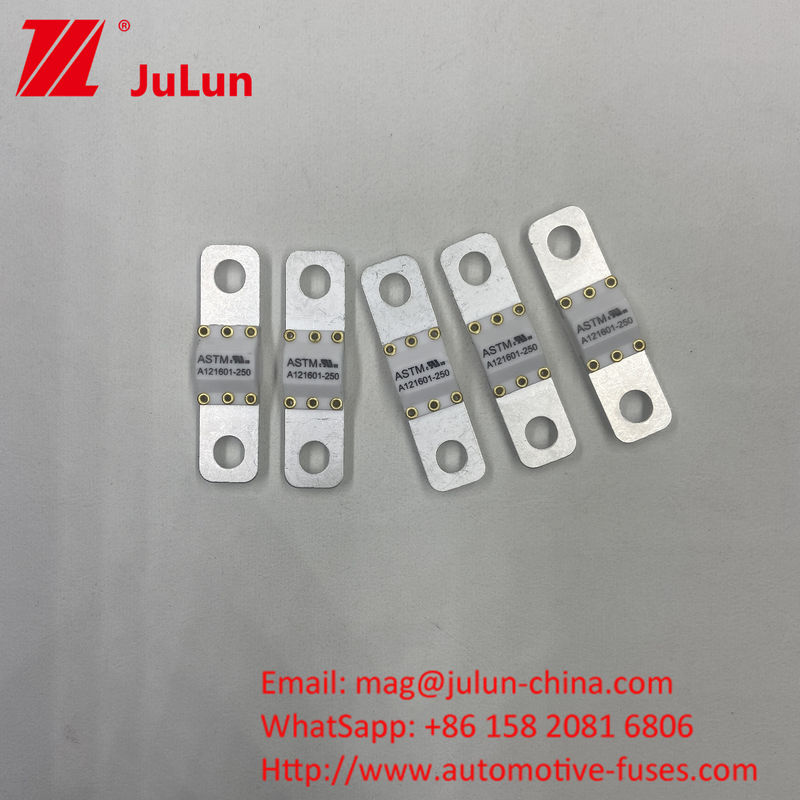 125 ভিডিসি অটোমোটিভ ব্যাটারি চার্জার ফিউজ A121601-300A ব্যাটারি শক্তি সঞ্চয় মোটরসাইকেল