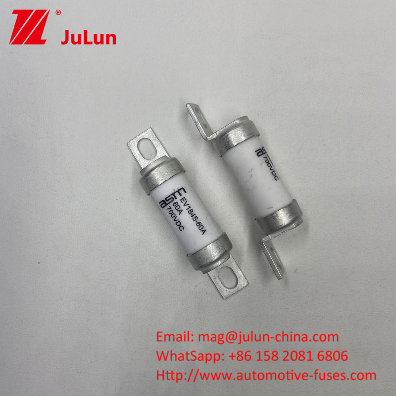 35A 700VDC EV1845 বোল্ট ফিউজ টার্মিনাল স্ক্রু সহ বৈদ্যুতিক যানবাহনের জন্য ফিউজ M8 M6