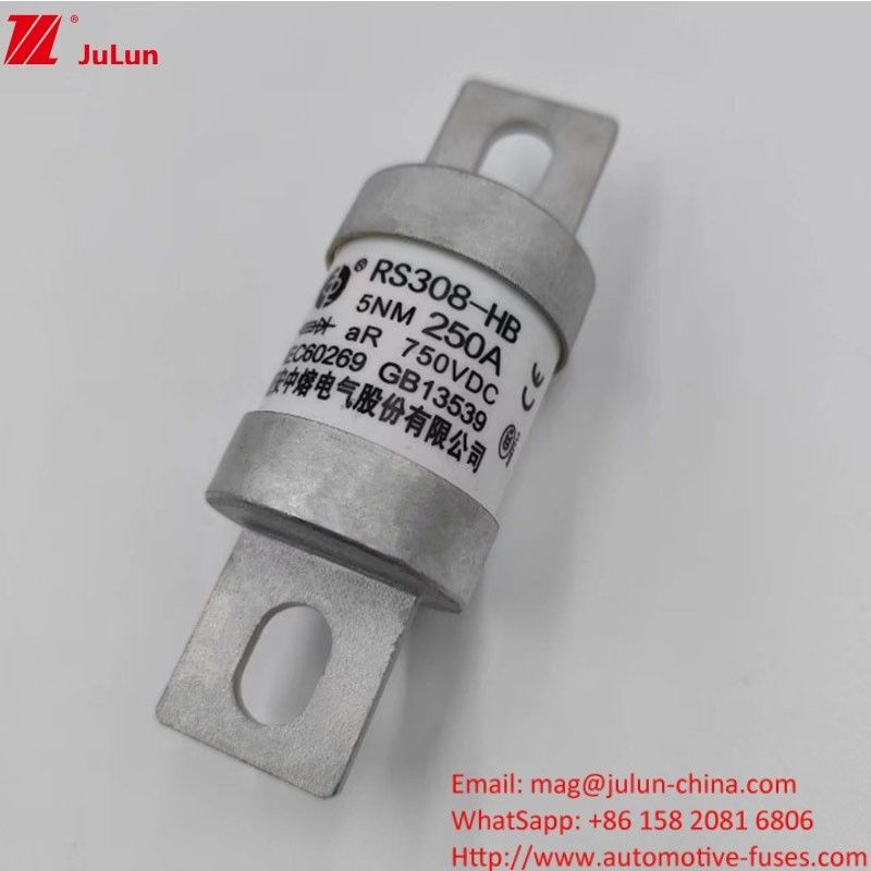200A 250A 300A -400A বৈদ্যুতিক গাড়ির ফিউজ স্ক্রু M8 M6 মাউন্ট পদ্ধতি টার্মিনাল টাইপ 750VDC এনার্জি ফিউজ