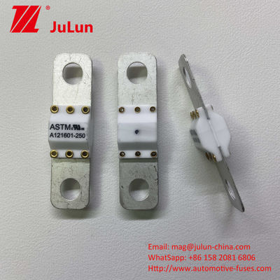 100A পোর্টেবল ইভি চার্জার সরঞ্জাম অগ্নি সুরক্ষা উচ্চ বিরতি শর্ট সার্কিট সুরক্ষা ফিউজ