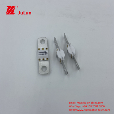 200A 125VDC 50A 60A 80A 100A অটোমোবাইল ফিউজ শক্তিশালী এবং অটোমোটিভ পাওয়ার টুলস যন্ত্রপাতি নতুন শক্তি