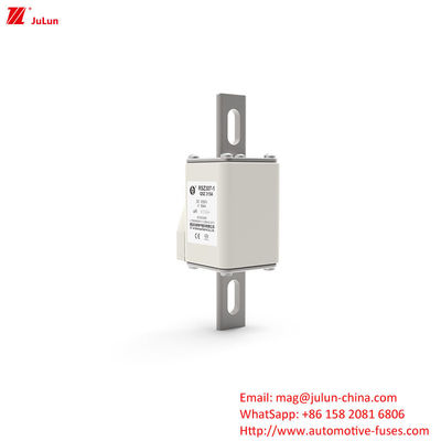 160A-550A DC1000V বৈদ্যুতিক যানবাহন ফিউজ RSZ307-1-Q5Z টার্মিনাল টাইপ বোল্ট-অন ফিউজ