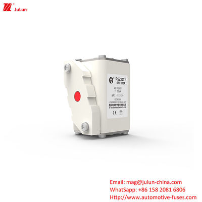 315A AC1000V পোর্টেবল ইভি চার্জার উচ্চ ভাঙ্গন ক্ষমতা সঙ্গে গাড়ী ফিউজ