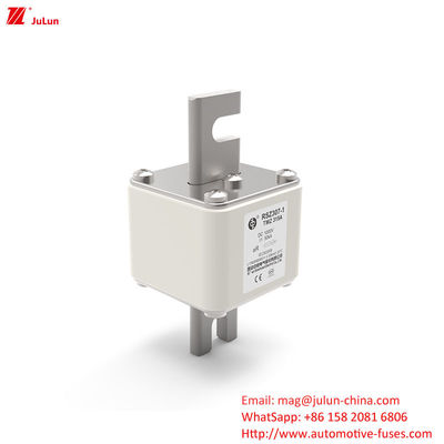 RSZ307 200A-450A DC250V বৈদ্যুতিক গাড়ির ফিউজ