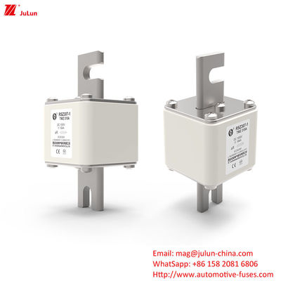 200A-450A উন্নত বৈদ্যুতিক শক্তি সিস্টেম সুরক্ষার জন্য অটোমোটিভ ব্যাটারি চার্জার ফিউজ