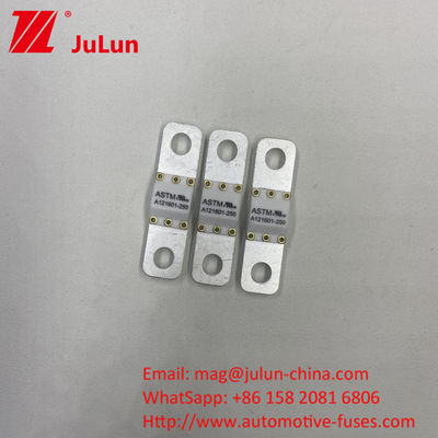 A121601-100A এএসটিএম বৈদ্যুতিক যানবাহন নতুন শক্তি সরঞ্জাম ব্যাটারি এনি ফিউজ অটোমোবাইল