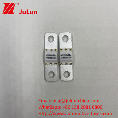 A121601-80A ASTM 125VDC 50A-100A বৈদ্যুতিক যানবাহন ব্যাটারি শক্তি সঞ্চয় ফিউজ