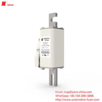200A DC1000V বৈদ্যুতিক সরঞ্জাম জন্য উচ্চ ভোল্টেজ ফিউজ আংশিক পরিসীমা সুরক্ষা জন্য ফিউজ উপর বোল্ট