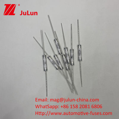 30A 500VDC 30KA সিরামিক HV660 পিসিবি হোল বা ক্ল্যাম্প ইনস্টলেশনের জন্য এএসটিএম গাড়ি ফিউজ