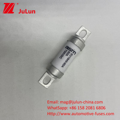 ASTM EV1845 150A আউটপুট ইলেকট্রিক যানবাহন ফিউজ 10kA ব্রেকিং ক্ষমতা স্ক্রু M8 M6 মাউন্ট