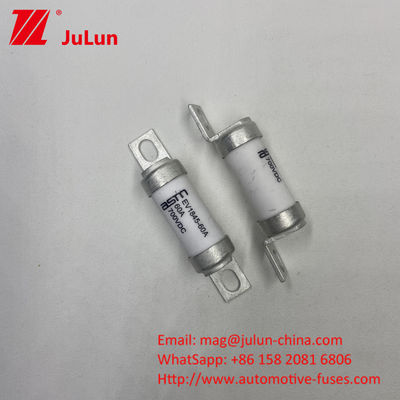 35A 700VDC EV1845 বোল্ট ফিউজ টার্মিনাল স্ক্রু সহ বৈদ্যুতিক যানবাহনের জন্য ফিউজ M8 M6