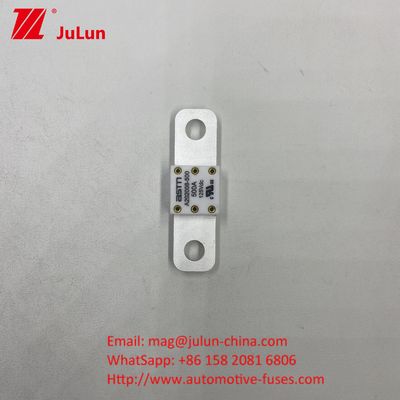 অটোমোটিভ সার্কিট ব্রেকার A202008 100A 100VDC EV FUSE ASTM