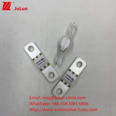 300A 125VDC উচ্চ ভাঙ্গন ক্ষমতা শক্তি রূপান্তর জন্য সিরামিক অটোমোটিভ ফিউজ