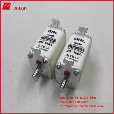160A, 200A, 250A,315A, 400A, NT000,NT00,NT0,NT1,NT2,NT3,NT4 ব্লেড ফিউজ লিঙ্ক এবং ফিউজ বেস 500V AC 10A~100A, 125A,500A 630A